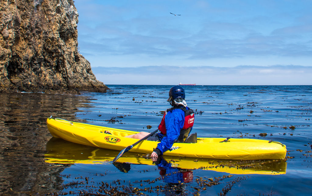 California Roadtrip: An Immersive Nature-Driven Adventure