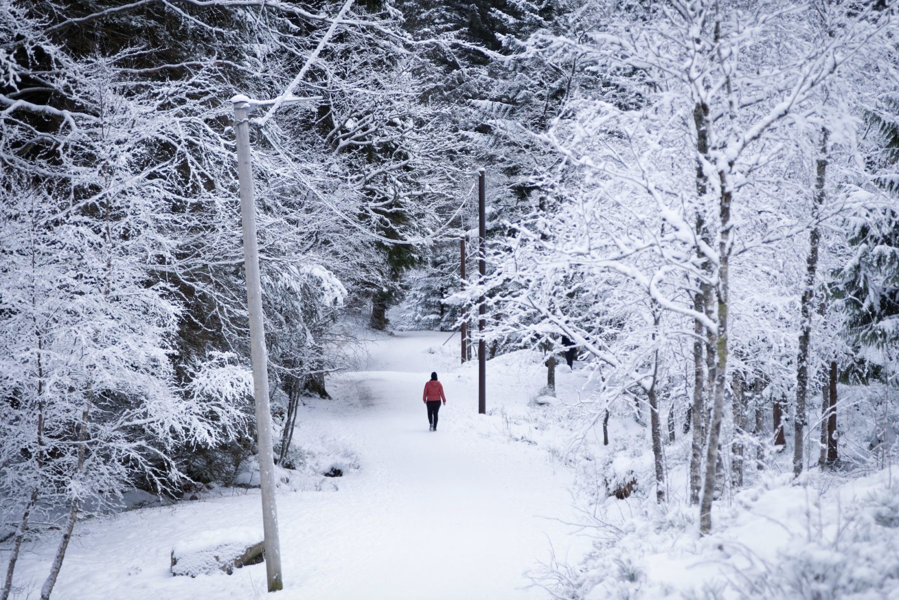 Norway: Beneath the Northern Lights