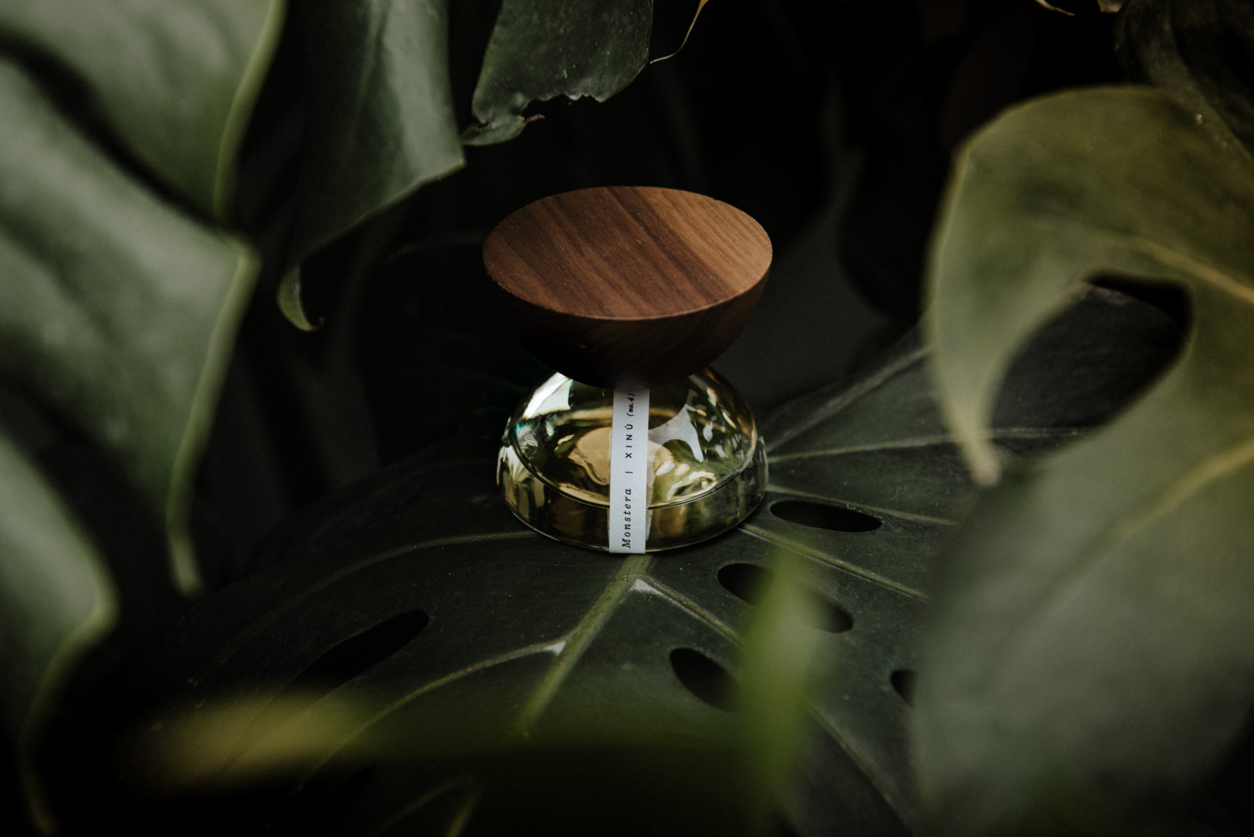 Xinú: Fragrances That Transcend
