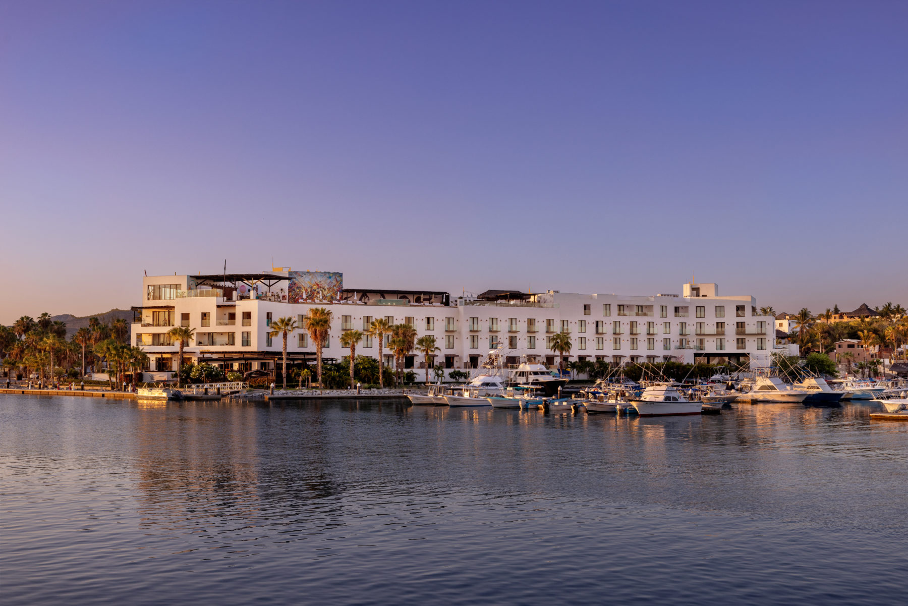 Hotel El Ganzo: Where Art, Music, and the Sea Converge in Los Cabos