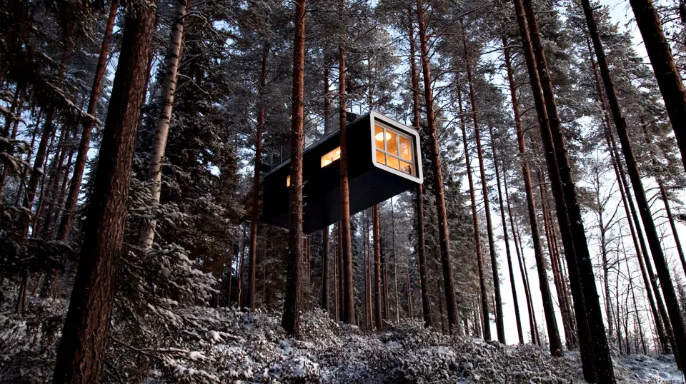 Aerial Glamping: The 5 Best Luxury Treehouses to Stay In