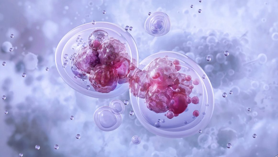 Metabolic Beauty: Skincare from Within