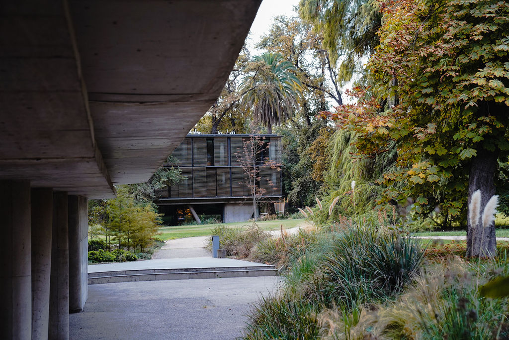 Las Majadas: A Retreat of Disconnection Just Outside Santiago