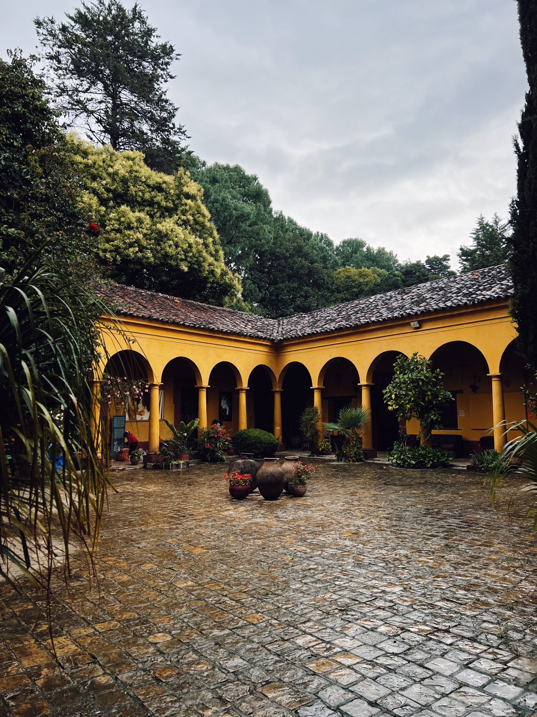 San Cristóbal de las Casas: The Must-Visit Cultural Destination in Southern Mexico