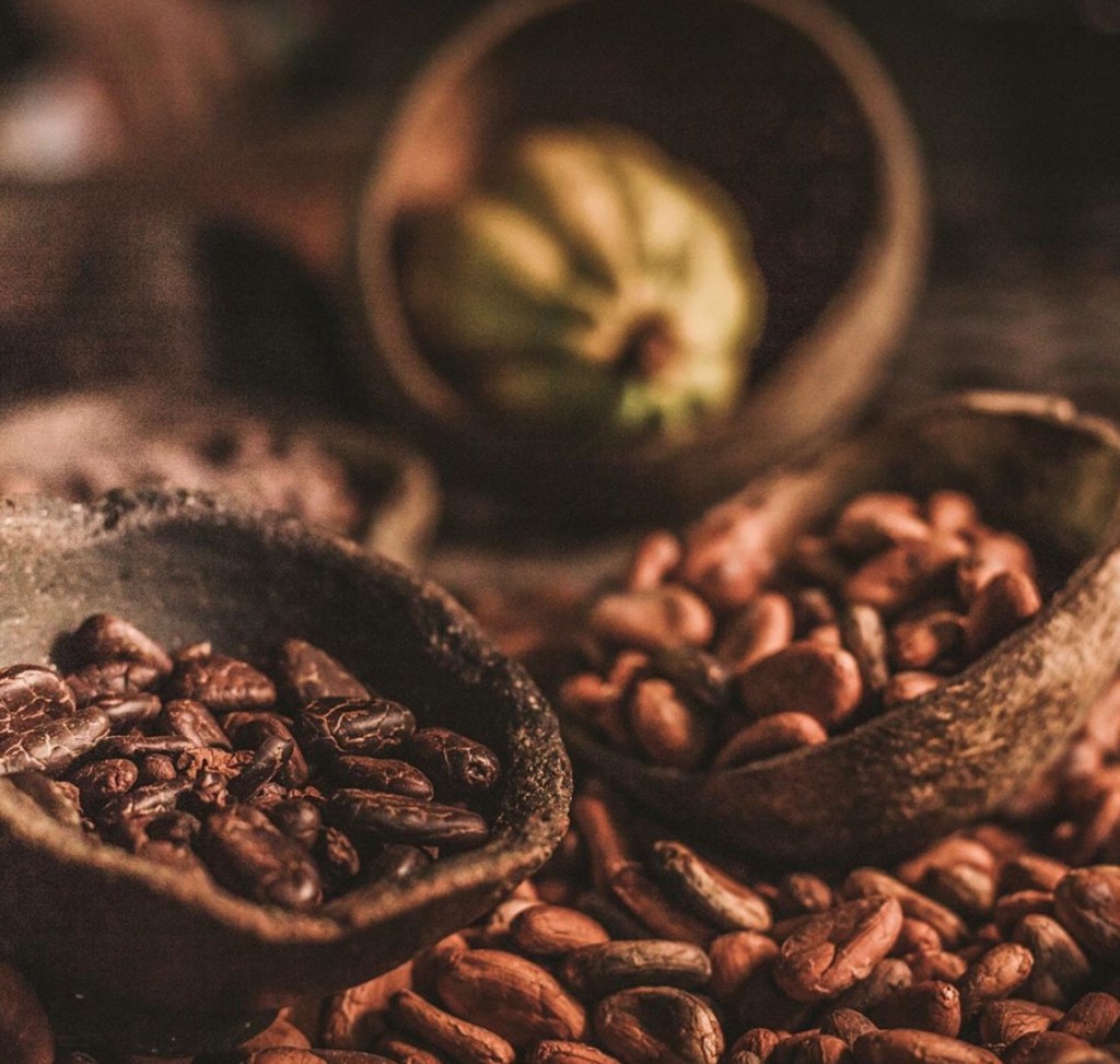 Culto Cacao: The Mexican Organic Chocolate You Need to Know