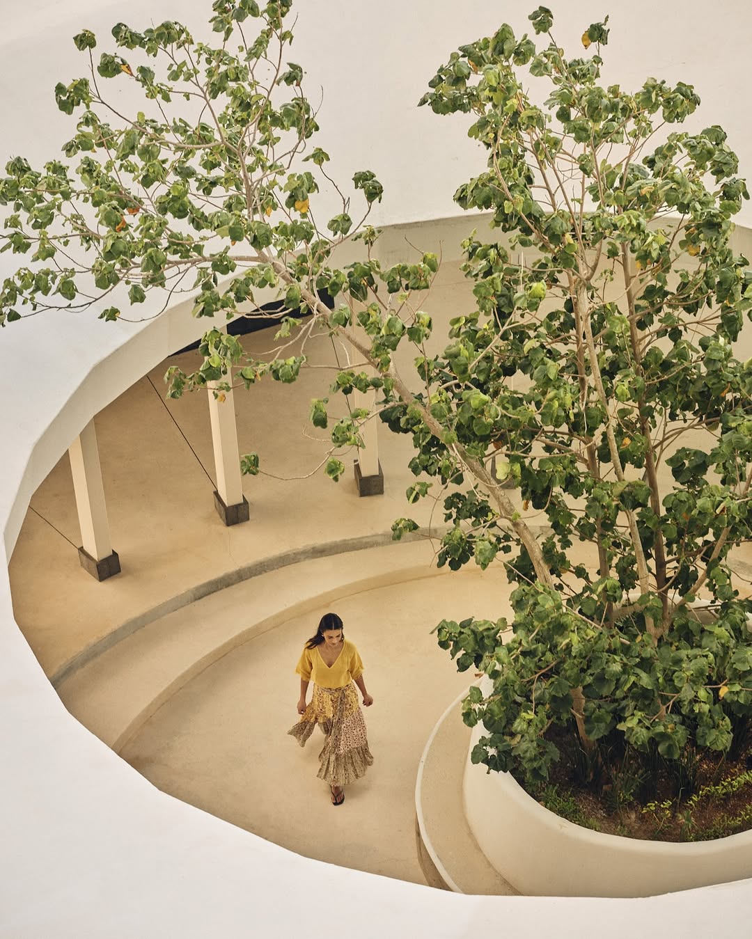 The Scientific Advances Reshaping How We Age