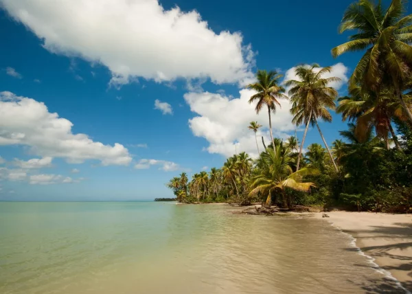 Inside Miches: The Dominican Republic’s New Luxury Destination for Sustainable Caribbean Travel